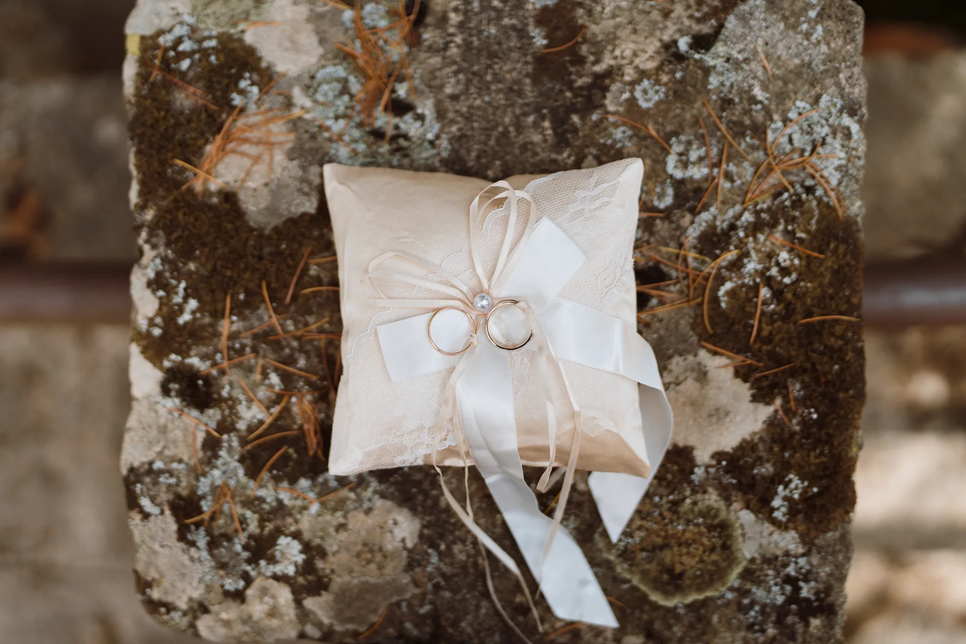 Boda de Sara y Raúl en La Granja de Lozoya