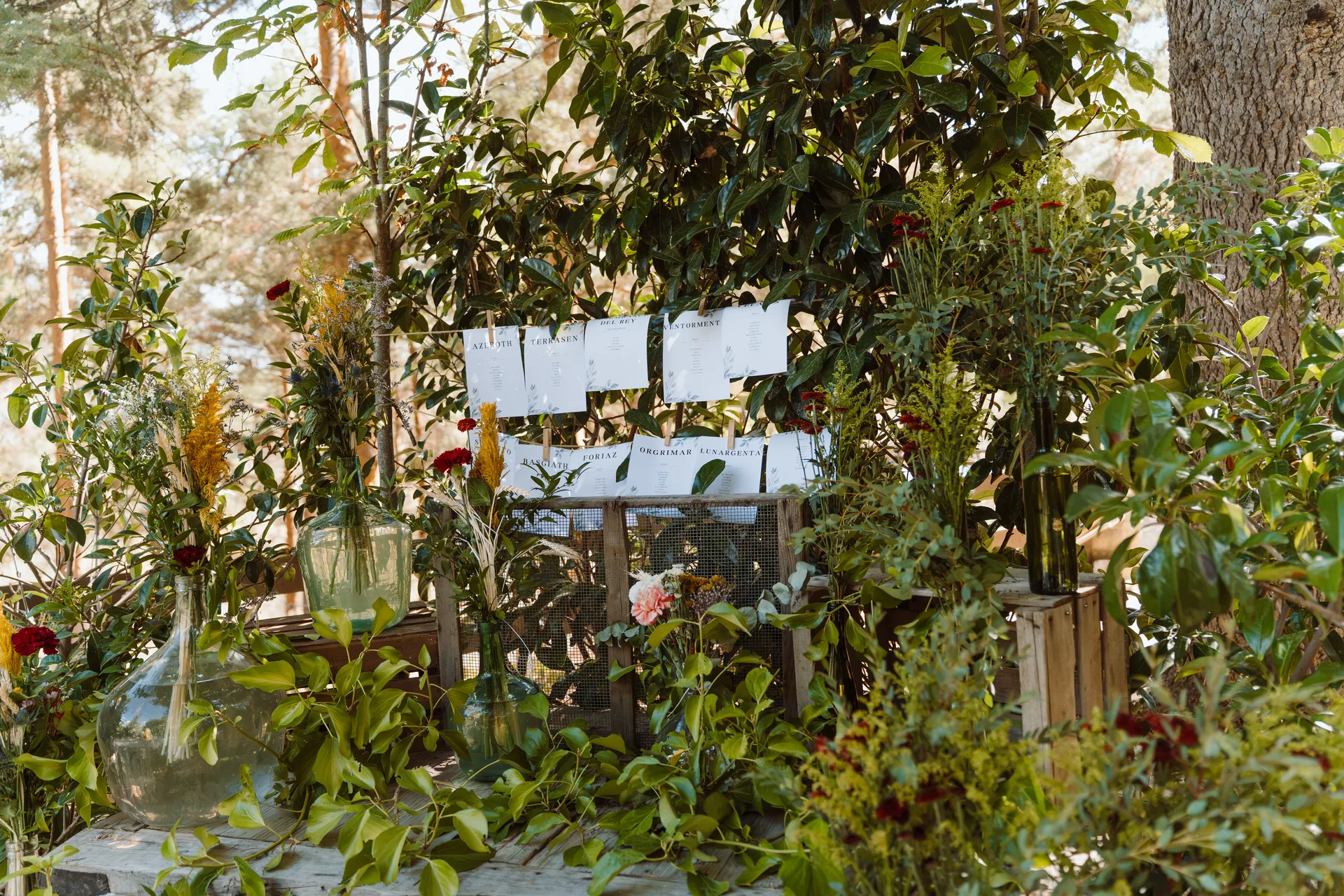 Boda de Sara y Raúl en La Granja de Lozoya