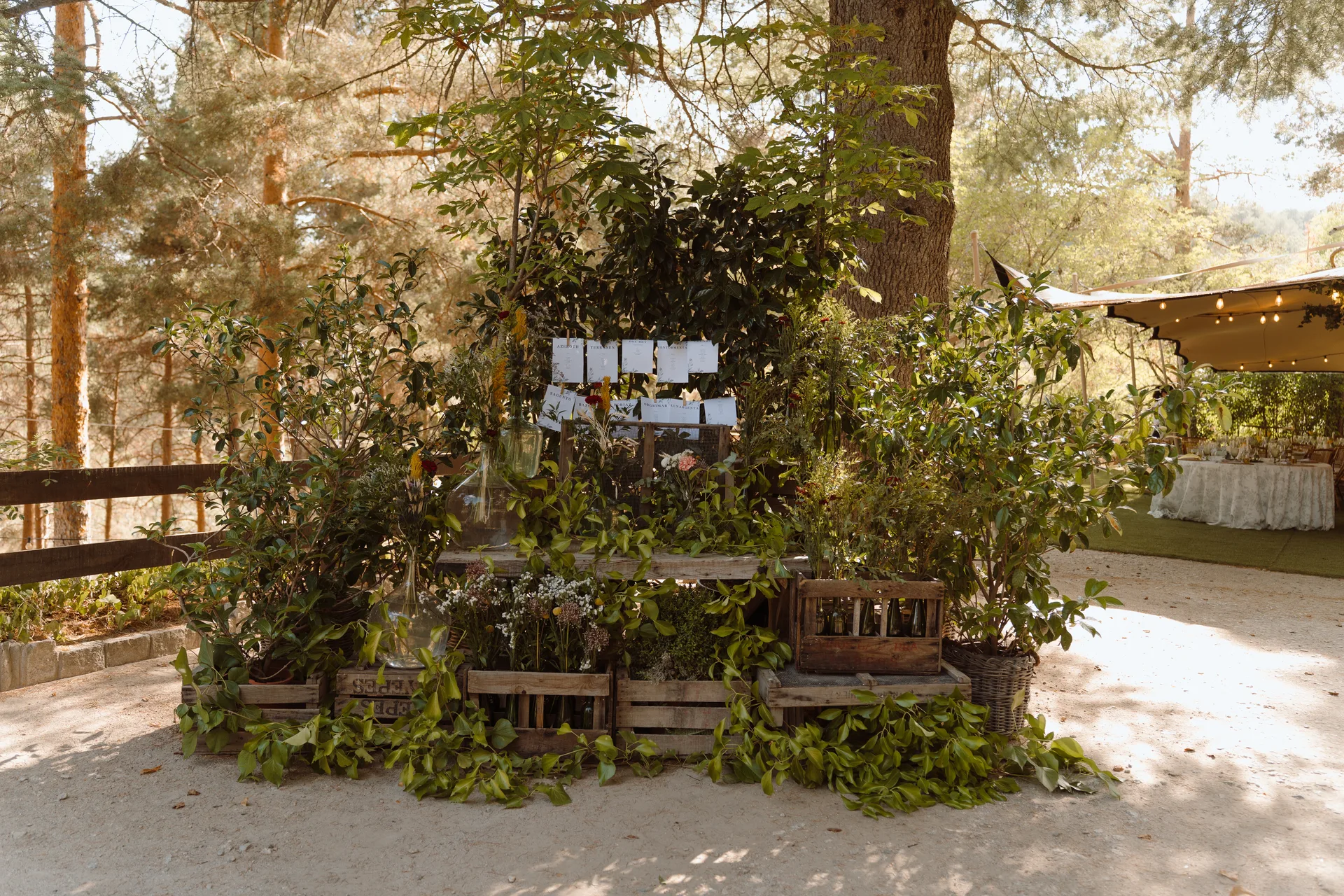 Boda de Sara y Raúl en La Granja de Lozoya