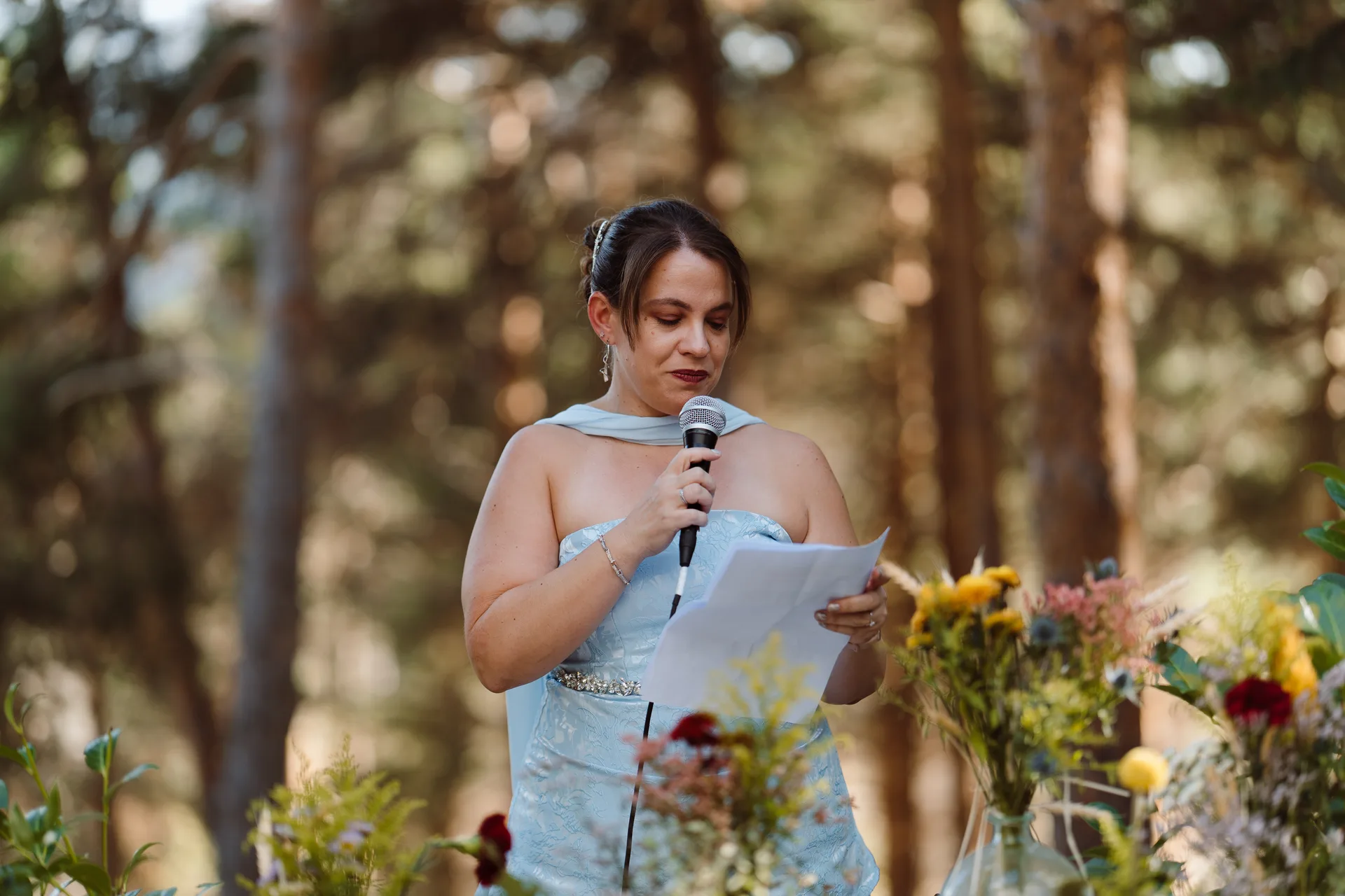 Boda de Sara y Raúl en La Granja de Lozoya