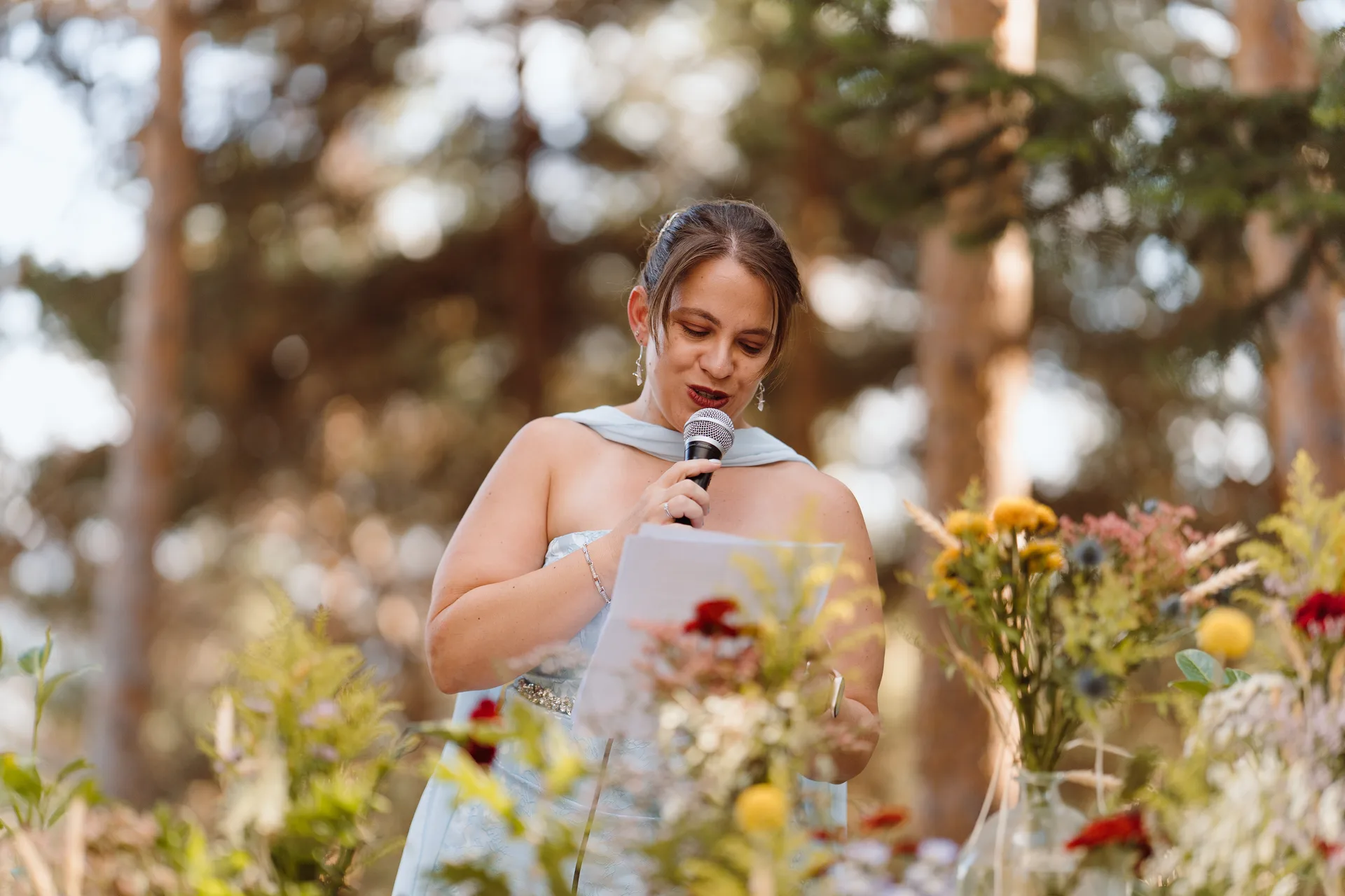 Boda de Sara y Raúl en La Granja de Lozoya