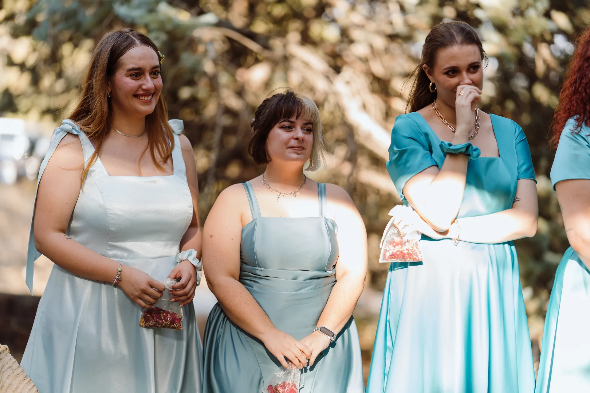 Boda de Sara y Raúl en La Granja de Lozoya
